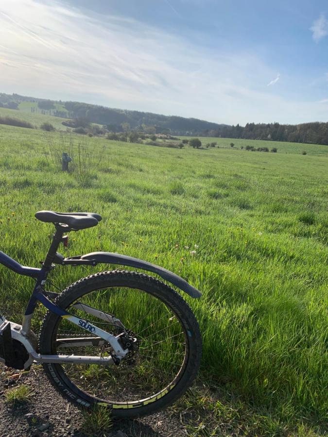Eifelstuben Mit Charme - Bauernstube Vulkaneifel - Naehe Und Burgruine * Ulmen
