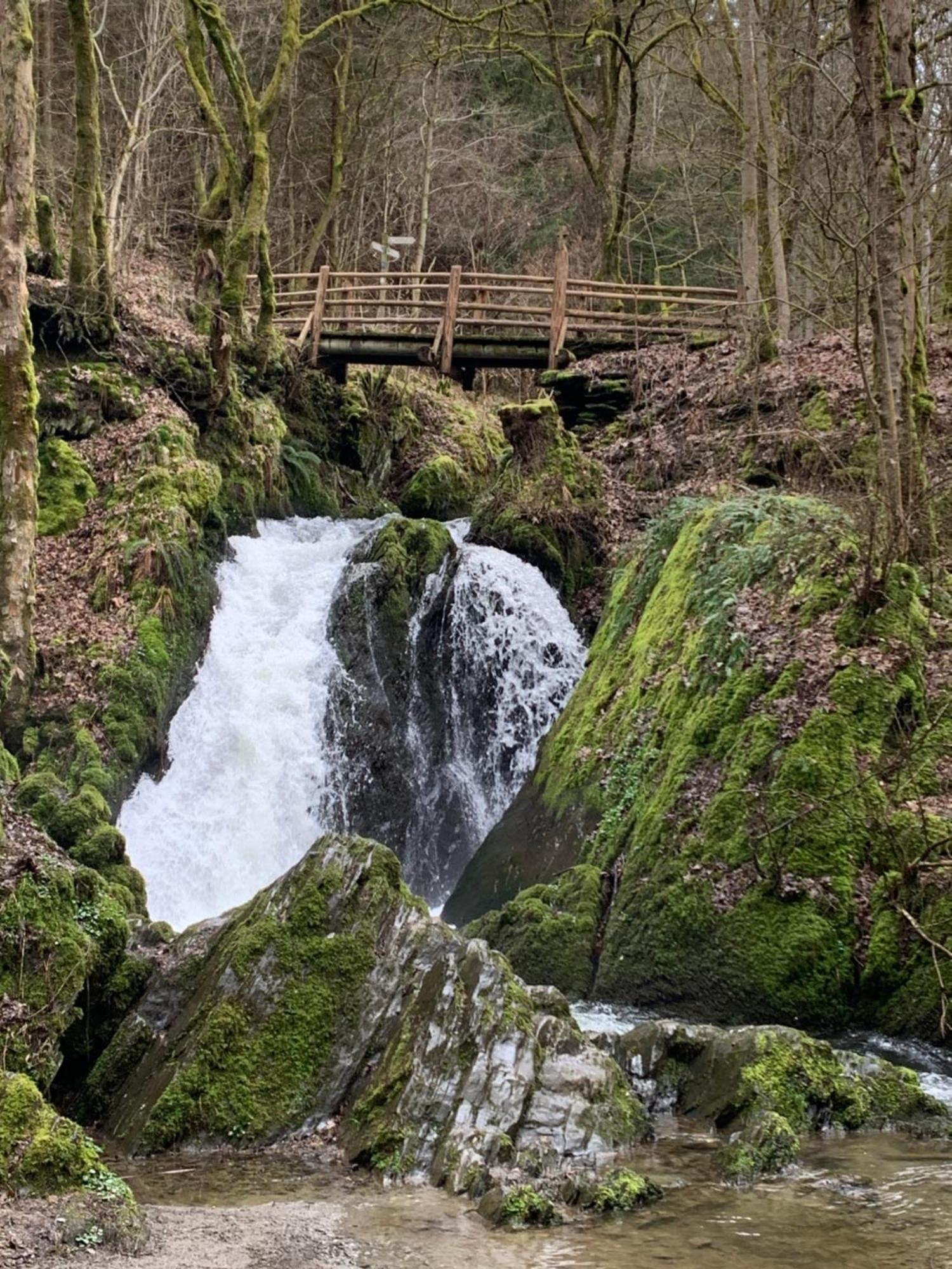 Eifelstuben Mit Charme - Bauernstube Vulkaneifel - Naehe Und Burgruine * Ulmen