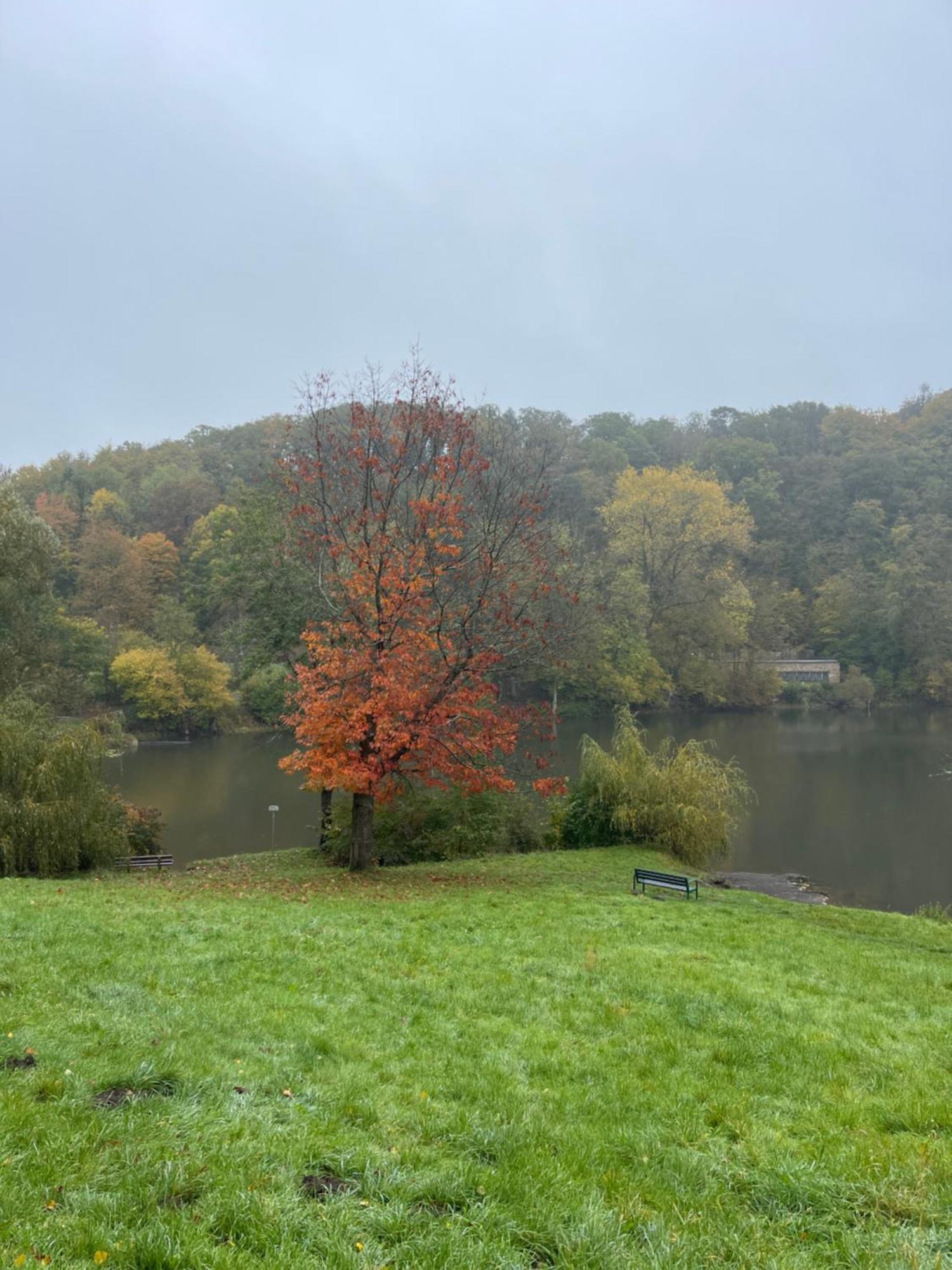 Eifelstuben Mit Charme - Bauernstube Vulkaneifel - Naehe Und Burgruine Holiday home Ulmen
