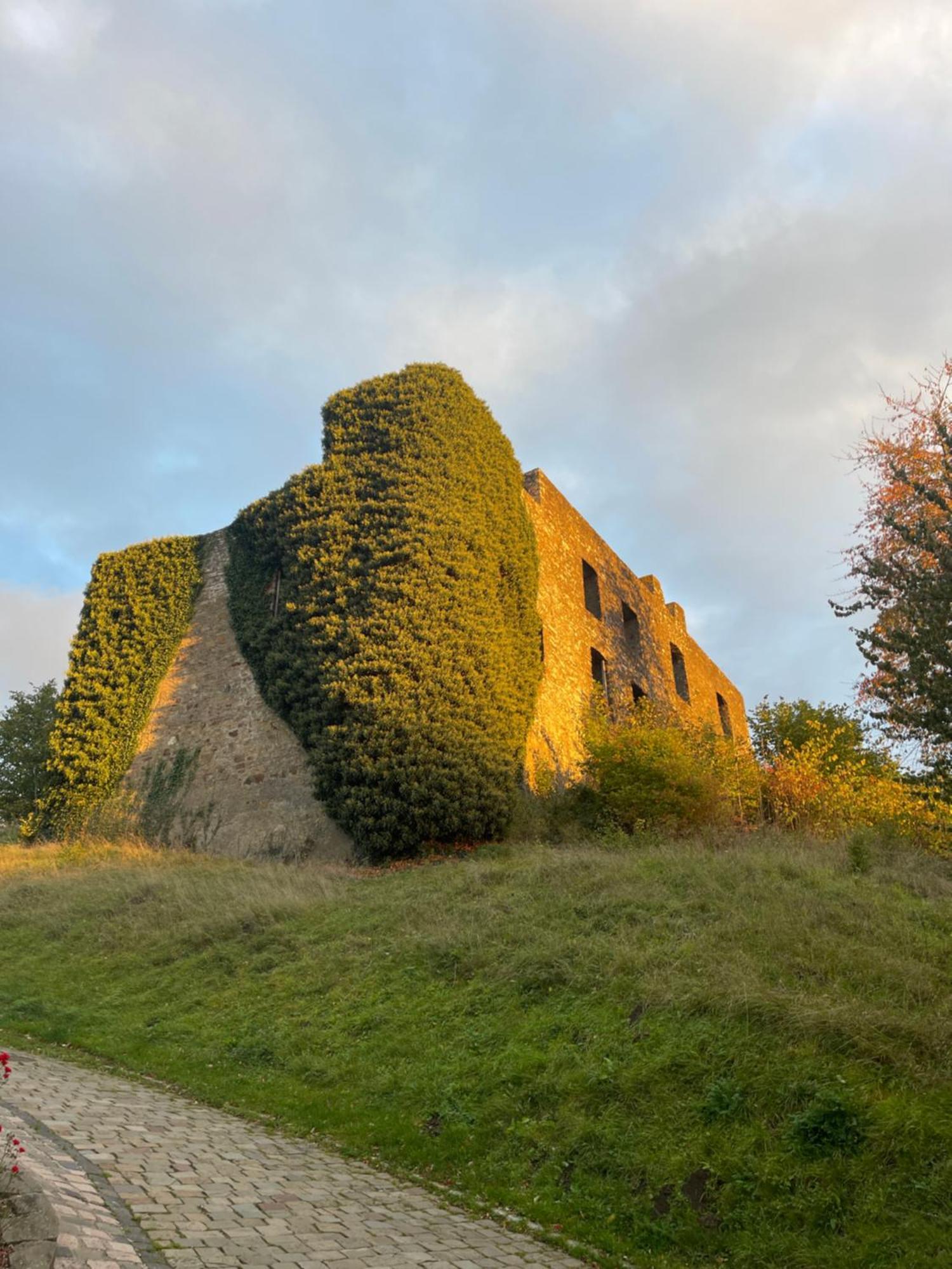 Eifelstuben Mit Charme - Bauernstube Vulkaneifel - Naehe Und Burgruine Holiday home Ulmen