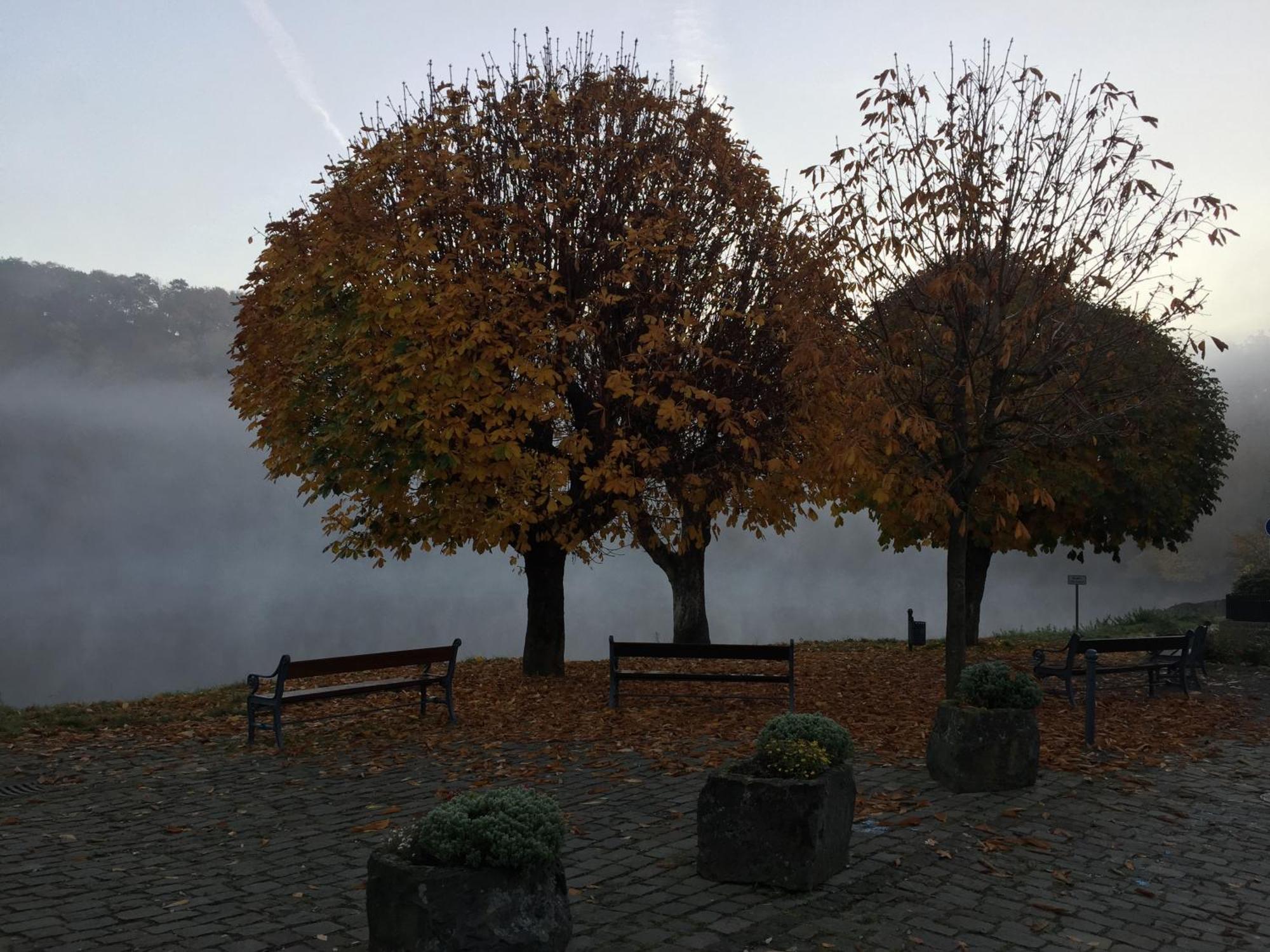 Eifelstuben Mit Charme - Bauernstube Vulkaneifel - Naehe Und Burgruine